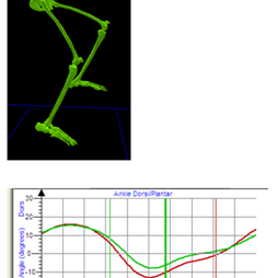 cycling-3d-analysis.png